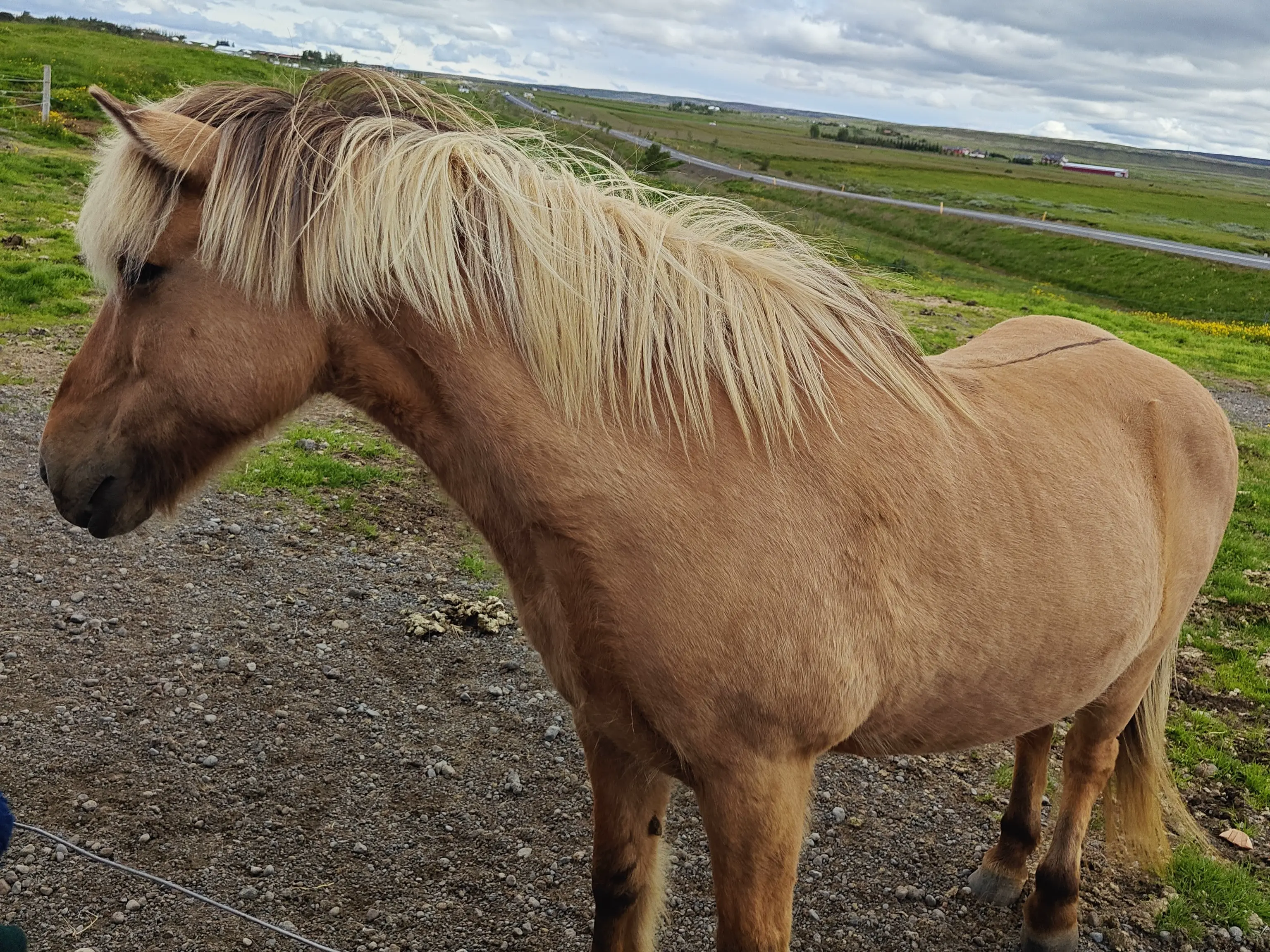 I went to Iceland!